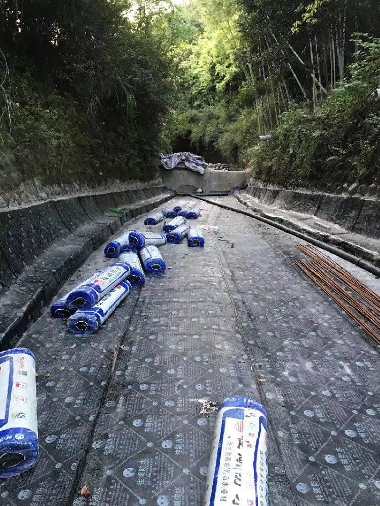 防水案例